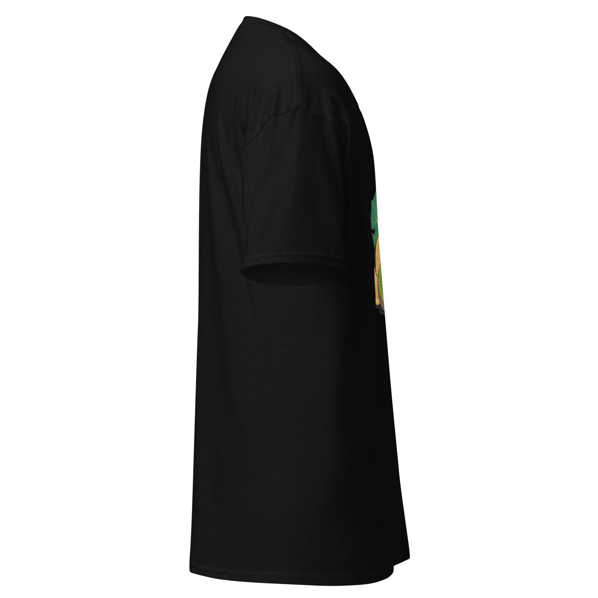 unisex classic tee black right 6a43fe2ca96cb.jpg unisex classic tee black right 6a43fe2ca96cb.jpg